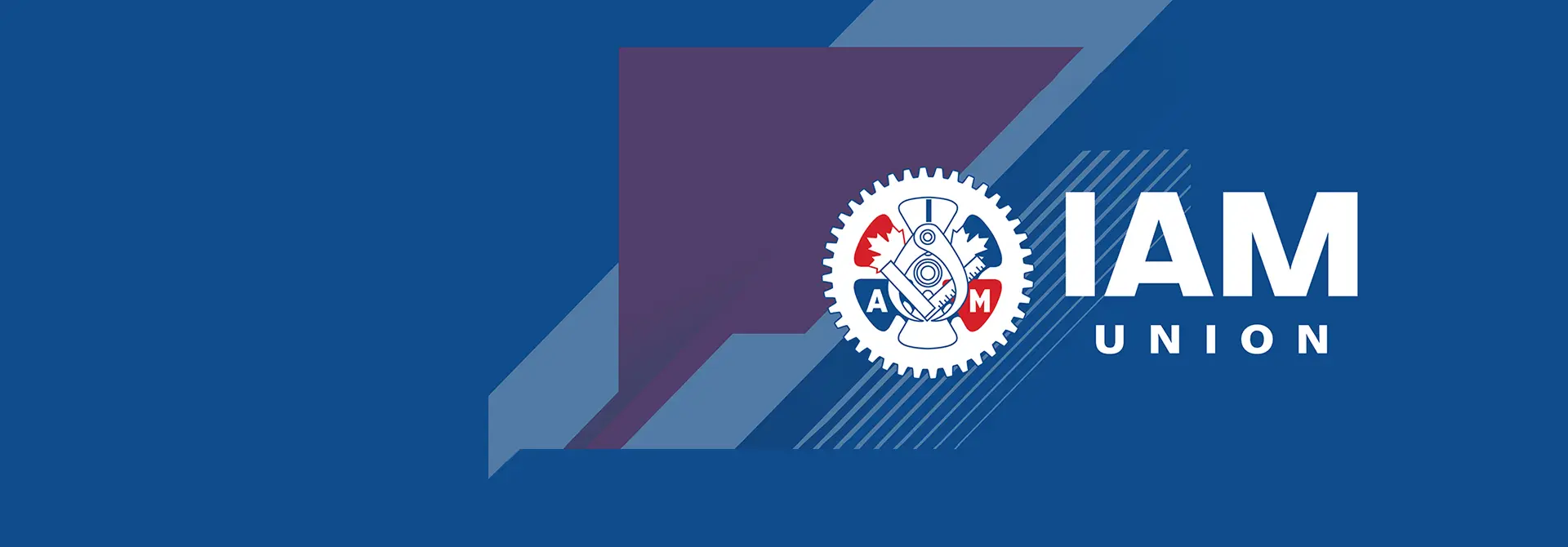 item.home_page_banner_slide_image.alt